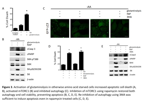 fig3