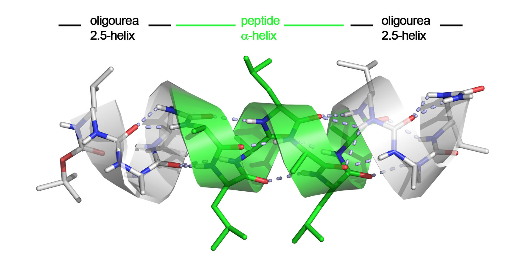 2015_helix_rubanb